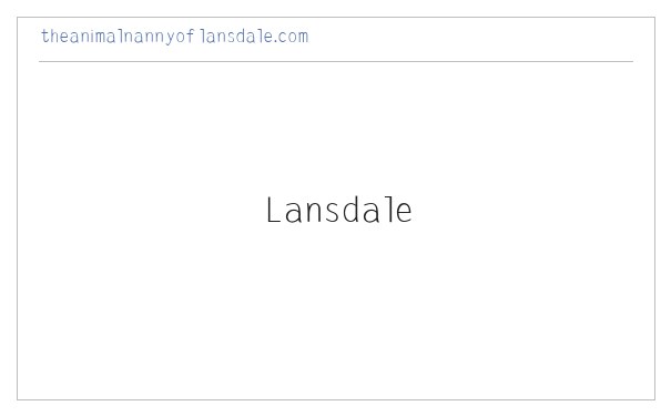 The Animal Nanny of Lansdale Pet Sitter Dog Walker 缩略图