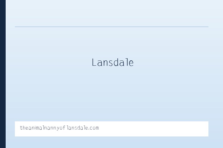 云西街道 - The Animal Nanny of Lansdale Pet Sitter Dog Walker 列表图